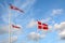 Danish flags Dannebrog in the wind at beach near Copenhagen, National symbol for the country of Denmark