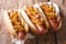 Danish food: hot dogs with crispy onions, ketchup and pickled cu