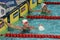 Danish Olympian and Record Holder sprint freestyle swimmer Jeanette OTTESEN