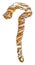 Danish pastry twist on white background,shape walking stick