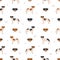 Danish swedish farmdog seamless pattern. Different poses, coat colors set