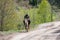 Danisparauli, Georgia - May 8, 2017. Georgian man in  camouflage jacket riding a horse on dirt road in mountains