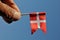 Dannebrog is official name of danishn flag