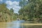 Danube biosphere reserve Ankudinovo river summer landscape. Vilkove, Ukraine