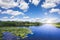 Danube Delta landscape with water canals and vegetation on a hot summer day with blue sky and white clouds