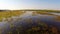 Danube delta in motion