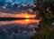 Danube Delta Vegetation and wildlife Sunrise