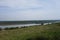 The Danube and its arms seen from the hills of Dobrogea.