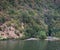 Danube River bank covered with trees and shrubs