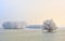 Danube river and frosty trees