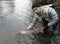 Danube salmon hucho fishing in central Europe