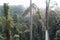 Danum Valley Canopy Walkway Borneo