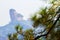 Danxia mountain with pine needles