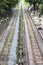 Danyingon station market onboard Yangon Circular Train Myanmar Burma South East Asia