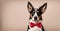 Dapper dog elegance: Canine charm in a stylish bow tie