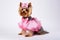 Dapper yorkshire terrier: a cute canine in a pink suit