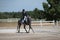 Dapple Gray Dressage Horse and Rider at a show