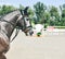 Dapple gray dressage horse and rider in uniform performing jump at show jumping competition. Equestrian sport background.