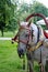 Dapple-grey horse in harness with horse collar and jingle-bells