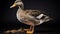 Dappled Brushwork: The Duck In Mike Campau\\\'s Style