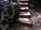 DAPPLED SUN ON CONCRETE STEPS BUILT NEXT TO ROCKS