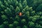 A daring pilot navigates a helicopter through a lush forest from an aerial viewpoint