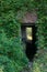 Dark abandoned entrance of old brick building grown in green plants