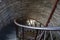 Dark ancient stone spiral staircase leading down