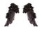 Dark angel wings