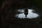 A dark, atmospheric edit of a mysterious man silhouetted in a puddle.. With a grunge, vintage edit