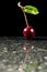 Dark atmospheric image of a ripe red cherry on a dark reflective surface on a black background