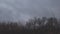 Dark autumn storm clouds fly over the bare trees of the autumn forest