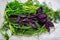 dark basil, parsley and dill against a white background herbs