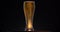 Dark Beer closeup. Pint of cold Craft beer isolated on matte black background, rotation 360 degrees. Glass of beer with
