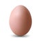 Dark beige chicken egg Realistic and volumetric egg for easter
