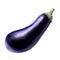 Dark blue aubergine