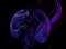 Dark blue brain, abstract fractal background