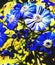 The dark blue colour`s flowers  in garden flowers pot