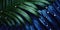 Dark Blue palm leaves and droplet Water dramatic photo effect background, realism, realistic, hyper realistic