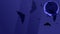 Dark blue paper background with black bats on dark moon. Halloween greeting card