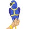 Dark blue parrot in harness and leash on human hand vector image