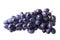 Dark blue ripe grapes