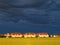 Dark-blue sky and golden grain field at outskirts by storm brewing