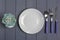 Dark blue spoon, fork, knife, gray plate, green echeveria cactus in white pot on a gray wooden background