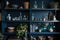 dark blue wooden shelves filled with books, plants, and vintage glassware