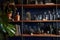 dark blue wooden shelves filled with books, plants, and vintage glassware
