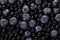 Dark blueberry closeup berry background