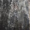 Dark blur background, dry seaweed Dashi Kombu