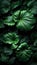 Dark botanical background from green big smooth leaves, green tropical. Generative AI