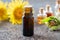 A dark bottle of elecampane essential oil
